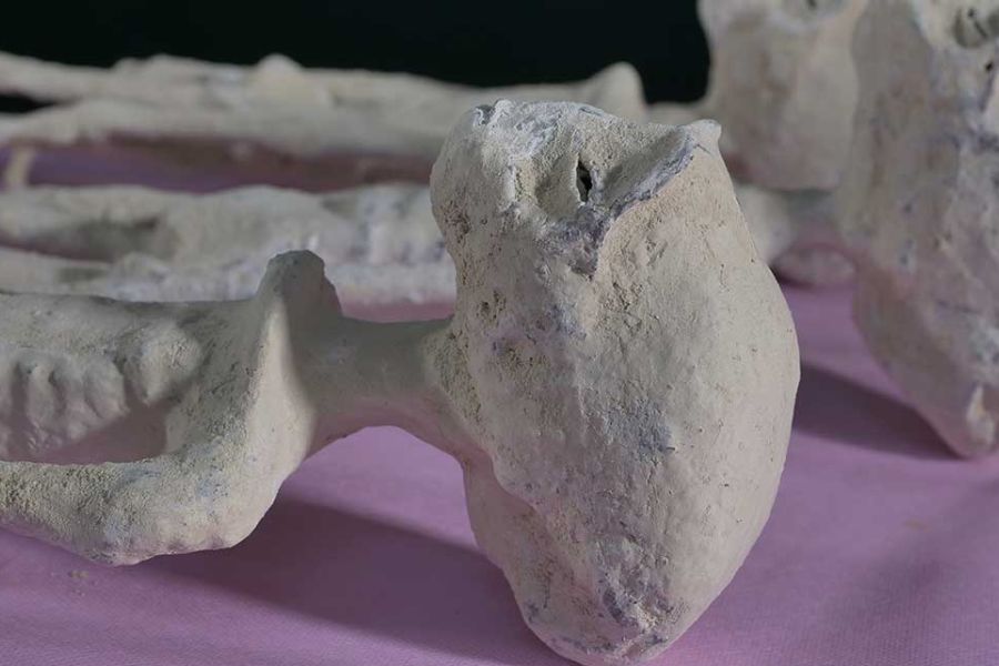 Nazca Mummies: A Revolutionary Discovery