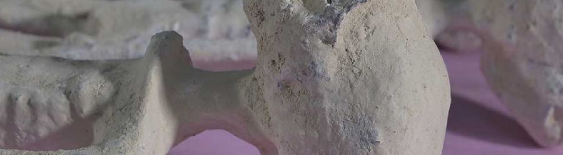 Nazca Mummies: A Revolutionary Discovery