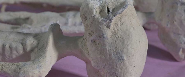 Nazca Mummies: A Revolutionary Discovery