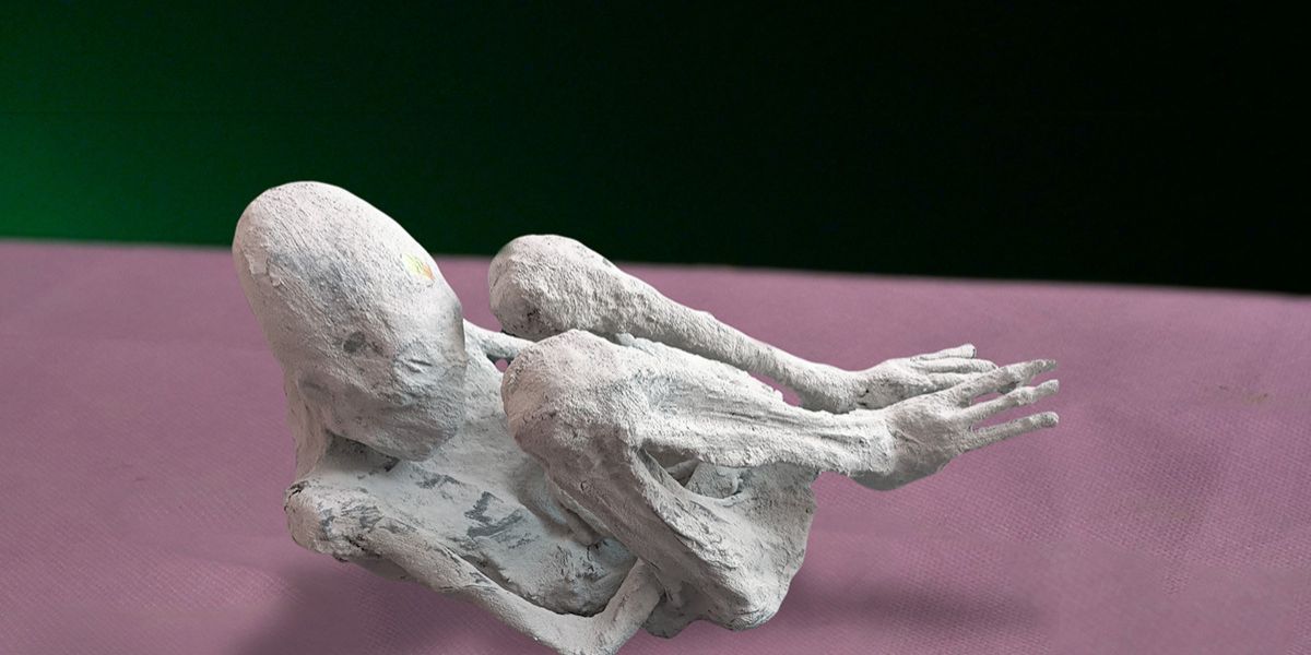 Monserrat momie hybride