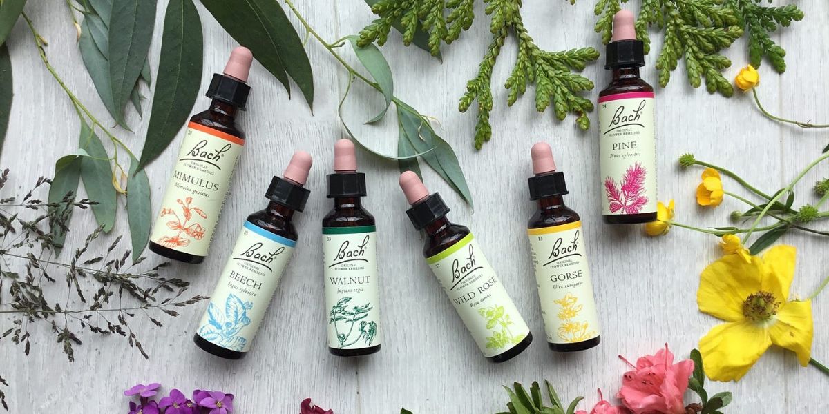 bach flowers remedies